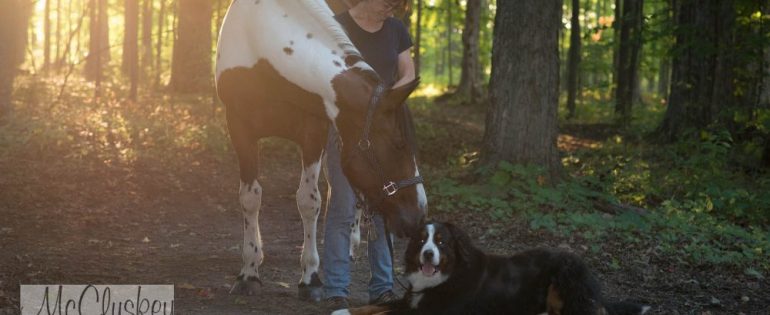 Pet Photographer 2015
